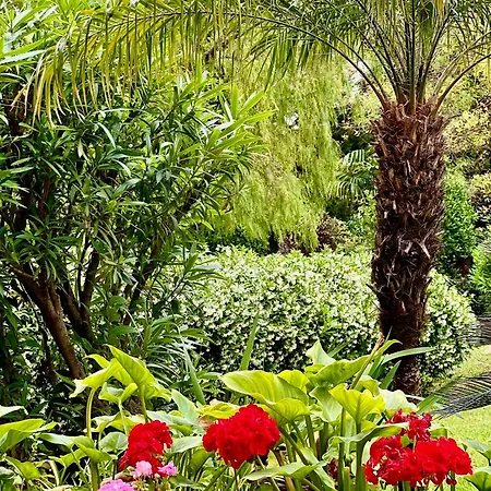 Luxury Penthouse Near The Daire