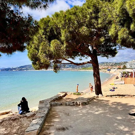 Luxury Penthouse Near The * Antibes